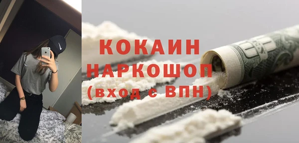 кокс Алексин