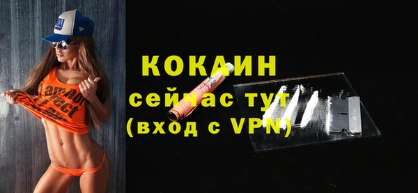 кокс Алексин