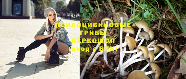 стаф Алексеевка