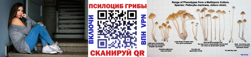 где можно купить   МЕГА онион  Галлюциногенные грибы Psilocybe  Любим 